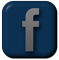 The Official Facebook Page for The Dyer's Eve Film Project